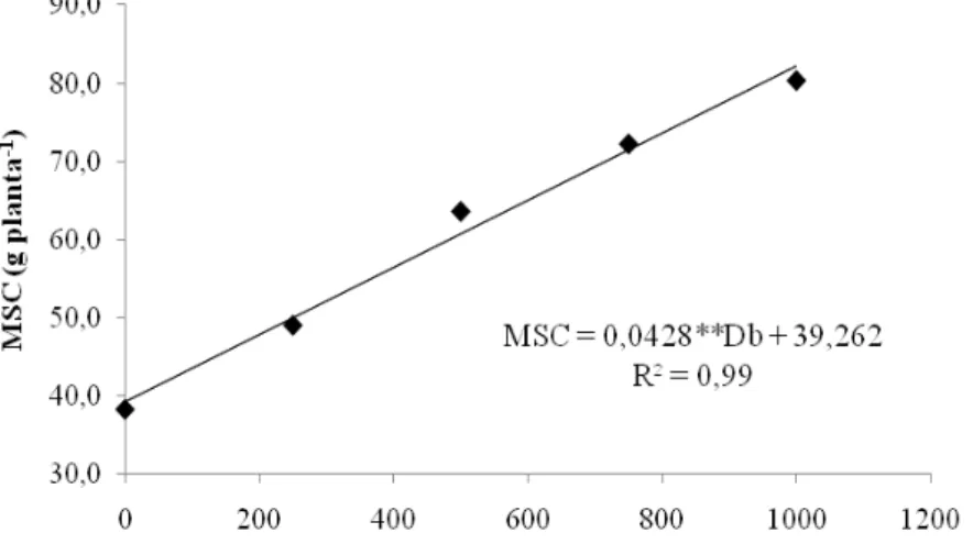 Figura 23 – Matéria seca do caule (MSC) de pimentão aos 173 DAT em  função das doses de biofertilizante