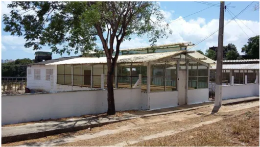 Figura  1  –   Casa  de  Vegetação  utilizada  para  a  condução  do  experimento.  Fortaleza,  Ceará,  2016 