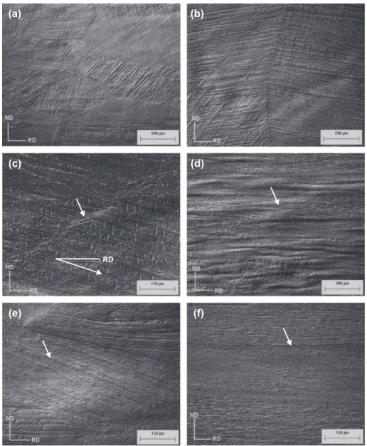Fig. 3. Microstructures of the Ti–35Nb alloy deformed up to: (a) 24%, (b) 37%, (c) 52%, (d) 65%, (e) 72%, and (f) 85% (LOM – Nomarski contrast).