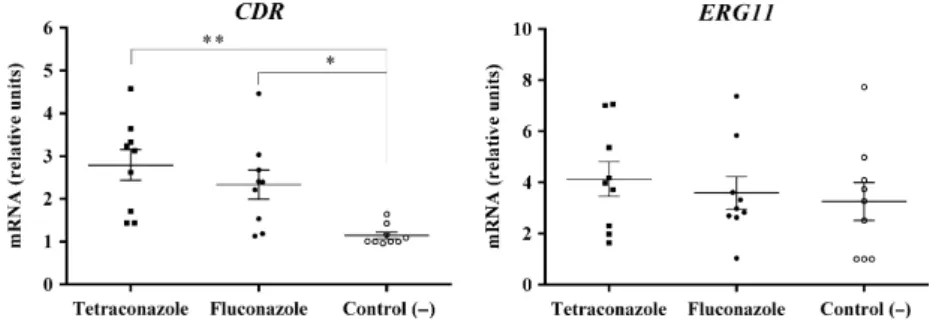Figure 4 Expression of CDR and ERG11 genes in the three independent replicates of tetraconazole-treated and fluconazole-treated groups and negative control group, after induction of antifungal resistance