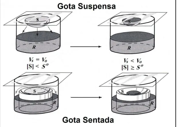 Figura 4  –  Técnicas da gota suspensa e gota sentada do método de difusão  por vapor