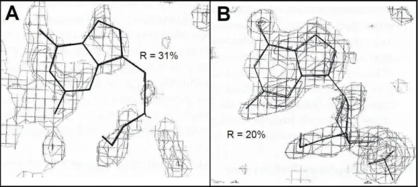 Figura 8  –  Efeitos do refinamento da estrutura. Mapa de densidade eletrônica  de um nucleotídeo guanina, de um fragmento de DNA, antes (A)  e depois do refinamento (B)