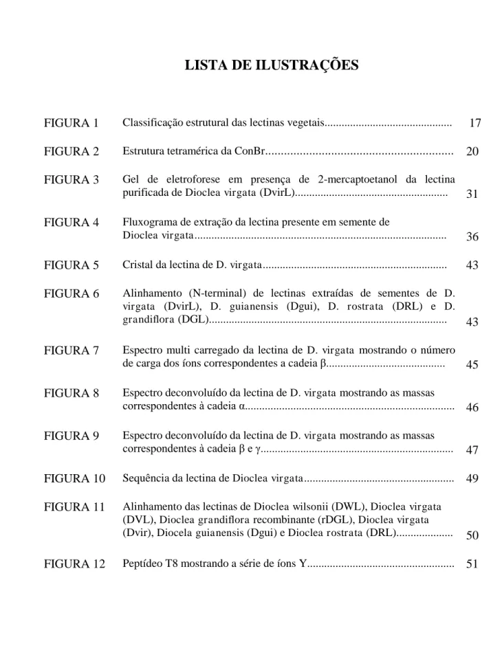 FIGURA 1  Classificação estrutural das lectinas vegetais............................................