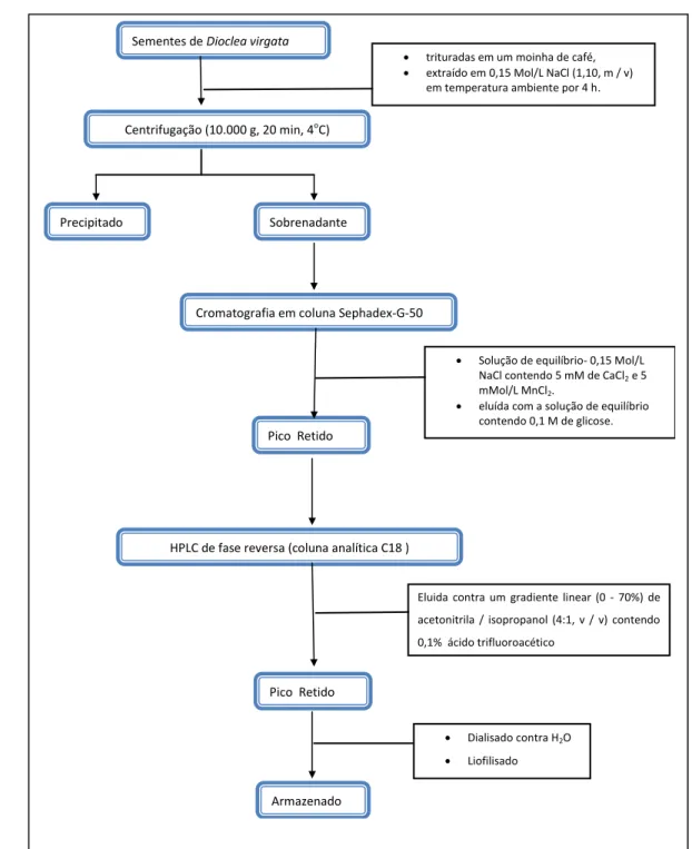Figura 4 :Fluxograma de extração da lectina presente em semente de  Dioclea virgata  (Cavada  et