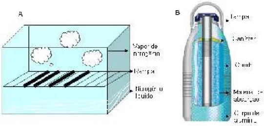 Figura 4. Equipamentos para congelamento de sêmen: (A) geladeira de poliestireno  com rampa metálica, (B) “dry shipper” (www.taylorwharton.com).