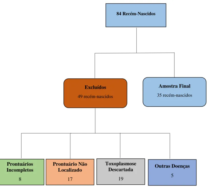 Figura 1. População Estudada 