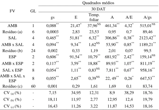 Tabela 2.1 - Resumo da análise de variância para as variáveis: temperatura foliar, condutância  estomática  ( gs ),  transpiração  (E),  taxa  fotossintética  (A),  eficiência  momentânea  do  uso  da  água  (A/E)  e  eficiência  intrínseca  do  uso  da  á