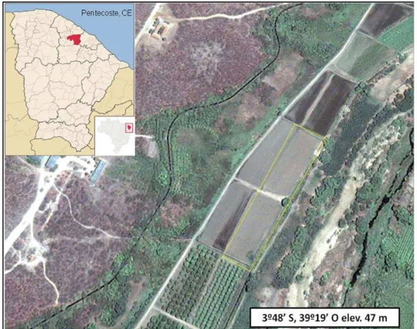 Figura  1-  Imagem  por  satélite  da  área  experimental  setor  de  irrigação  da  FEVC-UFC