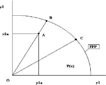 FIGURA 1 – CONJUNTO E FRONTEIRA DE POSSIBILIDADE DE PRODUÇÃO  O  modelo  DEA  foi  originalmente  proposto  por  Charnes,  Cooper  and  Rhodes  (1978) e através  dele são estimadas as medidas de eficiência técnica orientadas pelo insumo  ou  pelo  produto 