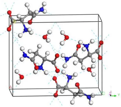 Figura 7: Representa¸c˜ao esquem´atica da c´elula unit´aria do cristal de L-asparagina mono- mono-hidratada.