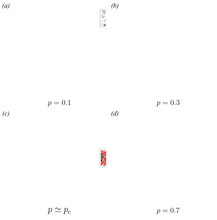 Figura 2.10: Configurações típicas do modelo de percolação por sítio para uma rede quadrada de lado L = 128 e diferentes valores de probabilidade de ocupação p