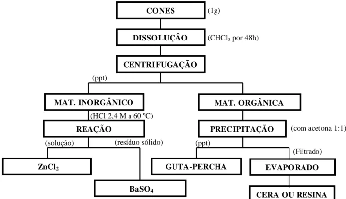 Figura 4. Fluxograma para a separação dos componentes dos cones de guta-percha  (processo 1)