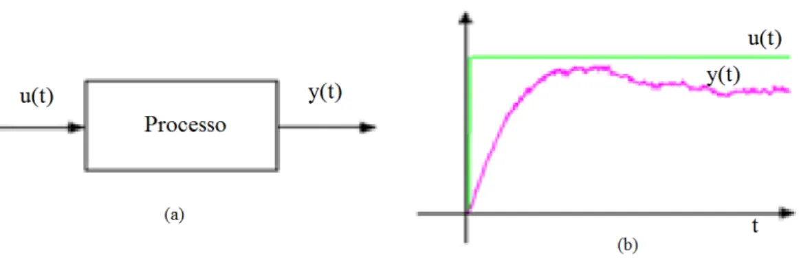 Figura 1.1: Representação de um processo (a) em termos de diagrama de blocos (b) a partir de  dados de entrada e saída