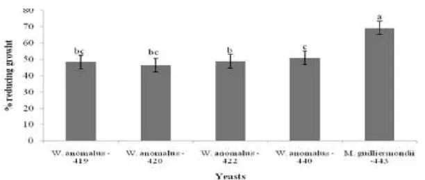 Fig. 5.2. The  biocontrol  efficacy of  Meyerozyma  guilliermondii 443 and  Wickerhamomyces  anomalus 419, 420, 422 and 440 (applied at 10 8  cells/mL) in reducing the mycelium growth  of  Colletotrichum  gloeosporioides  in  solid  medium
