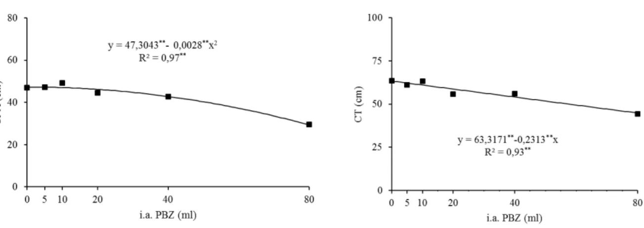 Figura  2 –  Massa  seca  das  folhas  (MSF;  A),  massa  seca  da  parte  aérea  (MSPA;  B),  massa  seca  do  sistema  radicular  (MSSR;  C)  e  massa  seca  total  (MST;  D)  das  plantas  de  Adenium  obesum  em função de diferentes doses de PBZ