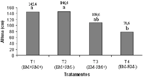Figura 7  –   Altura das plantas receptoras submetido ao teste de comparação de médias  (Tukey ,  p &lt;  0,05)