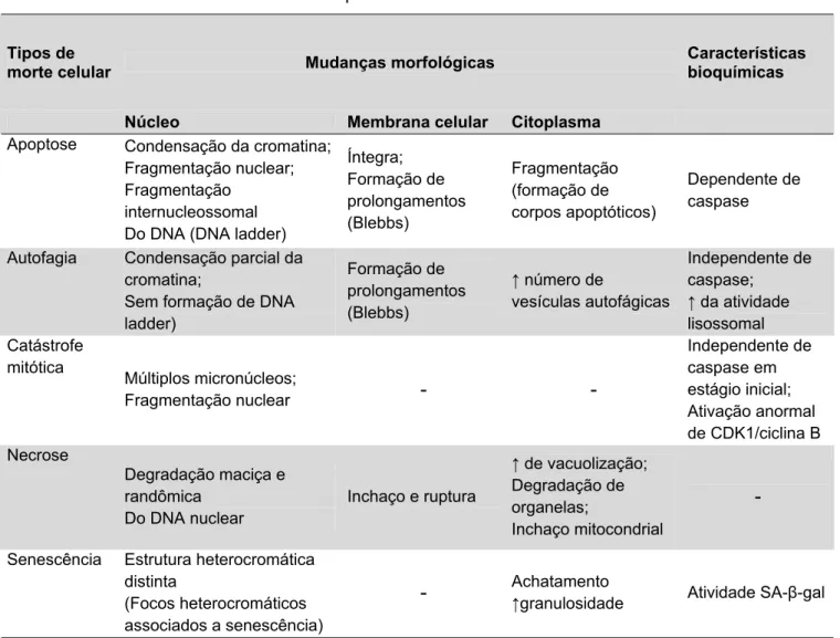 Tabela 1 - Características dos diferentes tipos de morte celular  