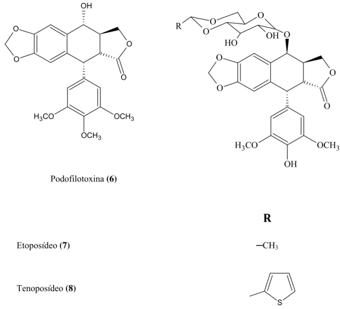 Figura 6 - Estruturas da Podofilotoxina (6), do Etoposídeo (7) e do Tenoposídeo (8) 