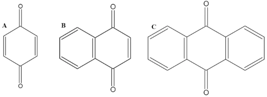 Figura 7 - Estrutura esquemática de (A)- benzoquinona, (B) naftoquinona e (C)  antraquinona 