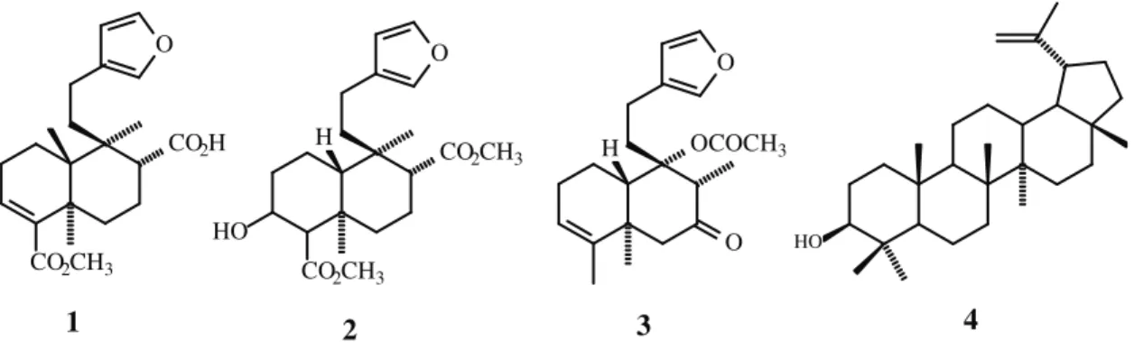 Figura  1.  Metabólitos  secundários  isolados  do  extrato  hexânico  do  caule  de  C