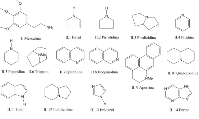 Figura 5.  Representação estrutural dos principais esqueletos de alcaloides encontrados  em plantas