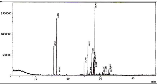 Figura 12 - Cromatograma do óleo essencial das raízes de C. rhamnifolius   (OERCR) obtido por CGL/DIC 