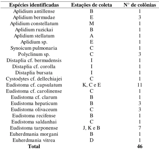 Tabela 2  –  Estação de coleta referente a cada espécie identificada no presente estudo