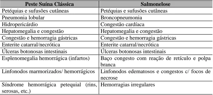 Tabela  1  -  Quadro  comparativo  entre  principais  lesões  macroscópicas  encontradas na PSC e Salmonelose 
