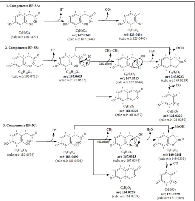 Figura 70 Proposta mecanística que justifica fragmentos registrados nos espectros de massas  de alta resolução de BP-3A, BP-3B e BP-3C 