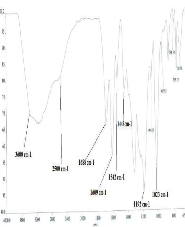 Figura 39: Espectro de absorção na região do infravermelho de S-8. 