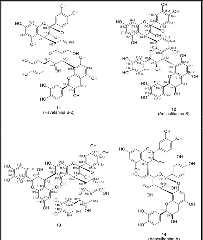 Figura 14 – Procianidinas triméricas descritas na literatura (11 14) com dados de RMN  13 C