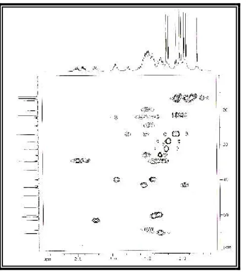 Figura  36  – Espectro  de  RMN  bidimensional  de  correlação  heteronuclear  1 H,   13 C  a  uma  ligação de AM 2 (HSQC)
