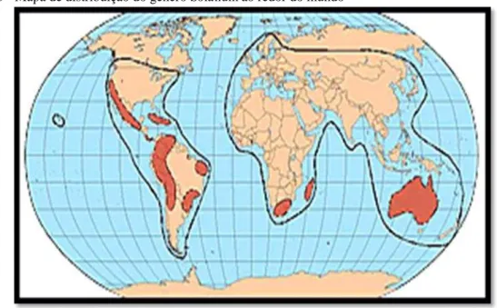 Figura 03 - Mapa de distribuição do gênero Solanum ao redor do mundo 