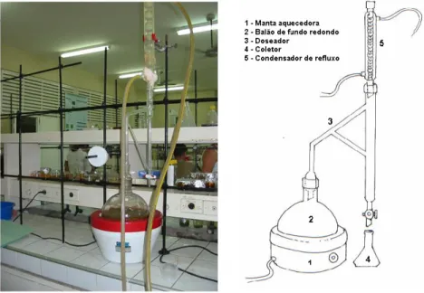 Figura 5. Aparelho usado para extração do óleo essencial por hidrodestilação. 