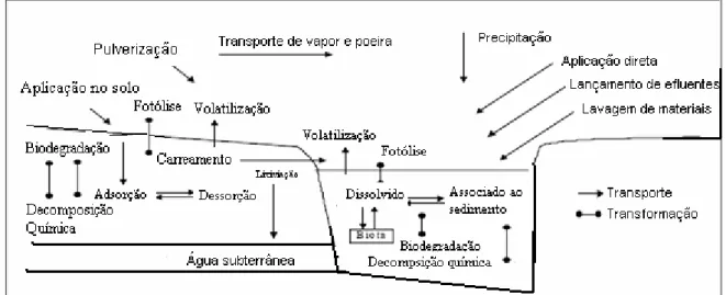 FIGURA 01 – Fenômenos envolvidos no comportamento dos pesticidas no meio ambiente. 