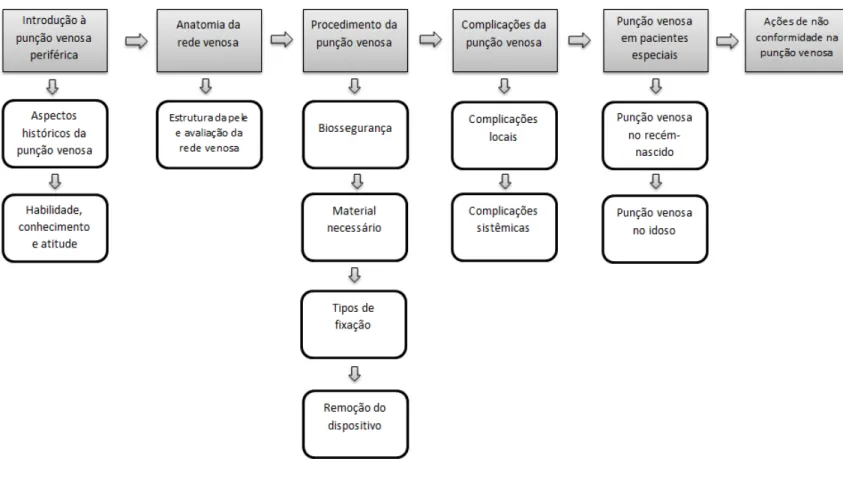 Figura  4  – Roteiro das aulas do curso “Atuação da enfermagem na punção venosa periférica”,  SOLAR, 2012