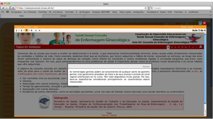 Figura  8  –  Página  da  hipermídia  contendo  conteúdo  e  glossário  da  hipermídia  “Consulta  de  Enfermagem Ginecológica”, SOLAR, 2011