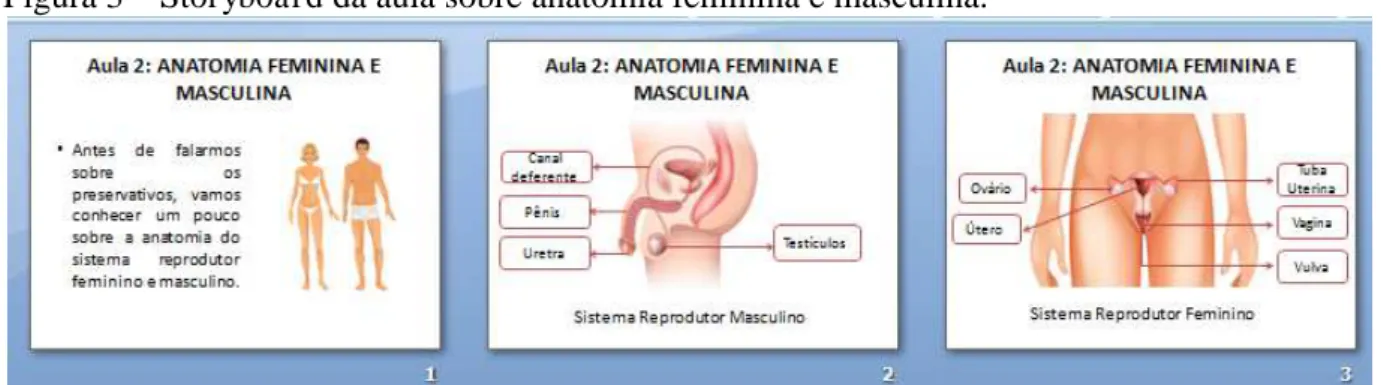 Figura 3  –  S toryboard  da aula sobre anatomia feminina e masculina. 