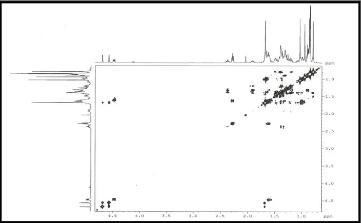 Figura 16 - Espectro de RMN  1 H, 1 H  –  1H COSY [500 MHz, CDCl 3 ] de CCF-2 