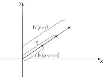 Figura 1.4: Um tipo de cone no R 2