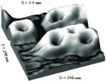 Figura 12: Imagens de an´eis quˆanticos InGaAS obtida por microspocia de for¸ca atˆomica- atˆomica-AFM.