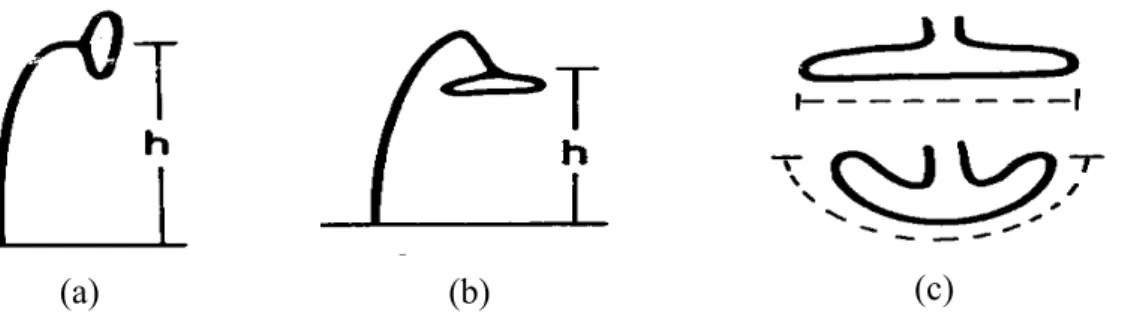 Figura  2.  Ilustração  de  como  foram  tomadas  as  avaliações  altura  da  planta  (a),  altura  de  capítulo (b) e diâmetro do capítulo (c) no girassol (CASTIGLIONI et al., 1997)