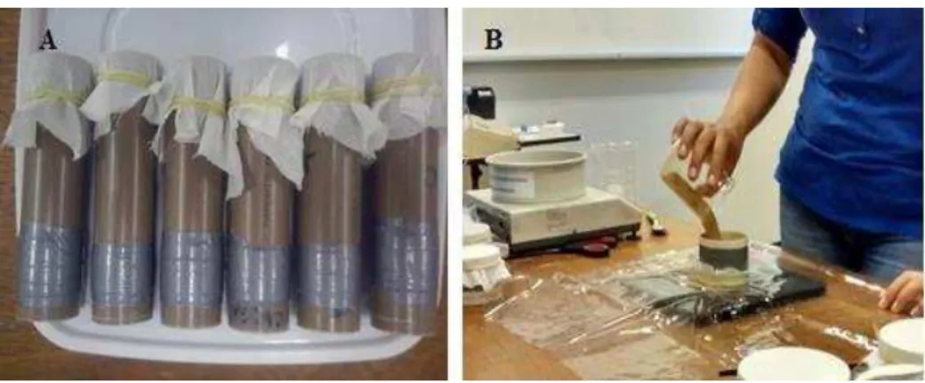Figura 4. Cilindros  e preparo do corpo de prova
