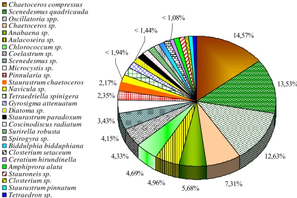 Figura 20 – Abundância relativa do fitoplâncton na estação chuvosa de 2005, estuário do Rio Cauípe, Caucaia  (Ceará, Brasil)