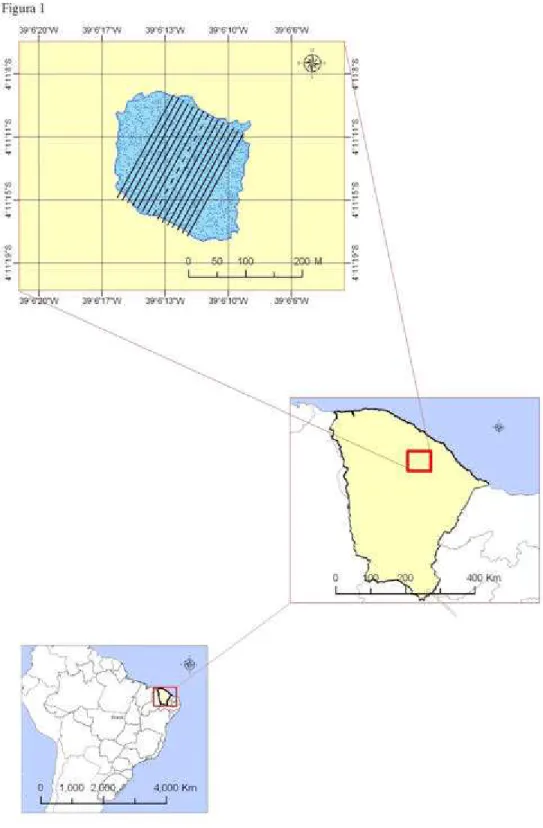 Fig.  1.    Localização da lagoa das Contendas, nordeste do Brasil. Em detalhe a  disposição dos transectos na lagoa