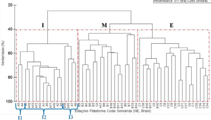 Figura  4:  Análise de similaridade da comunidade de copépode na plataforma continental da  costa semiárida  (Nordeste-Brasil) evidenciando os grupos I - Interno (Subgrupos I1, I2 e I3), M - Médio e E - Externo