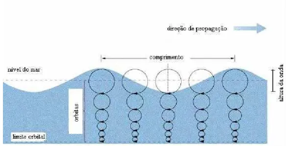 Figura 3 - Uma onda simples e suas partes – Desenvolvimento orbital na formação de uma onda