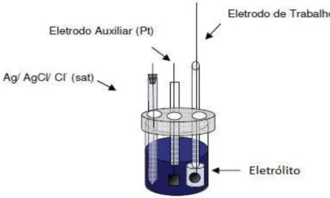 Figura 4 - Desenho ilustrativo da célula eletroquímica utilizada nos ensaios eletroquímicos de  corrosão 