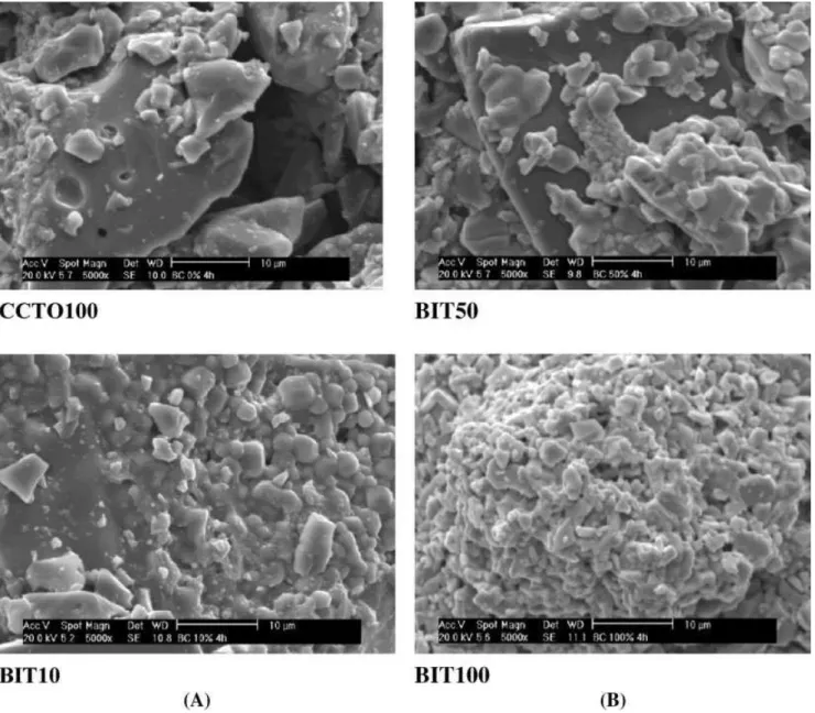 FIG. 4. Scanning electron photomicrograph of (A) CCTO100 and BIT10 samples (  5000) and (B) BIT100 and BIT50 samples (  5000).