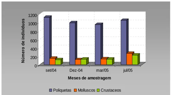 Figura  17.  Variação  espaço-temporal  na  porcentagem  de  abundância  total  dos  principais  grupos encontrados no período compreendido entre os anos 2004 - 2005